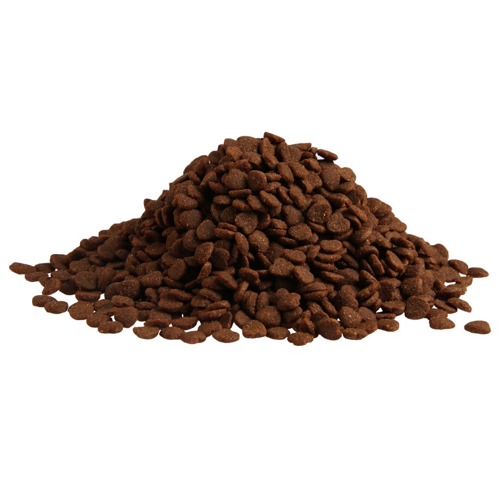 Prominent DOG ADULT MINI 3 kg