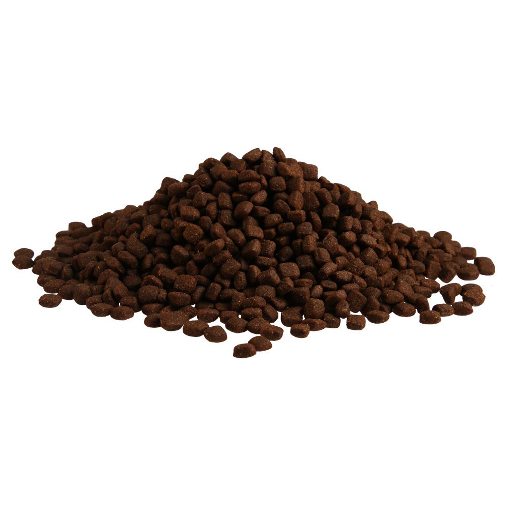 Prominent DOG PUPPY 10 kg