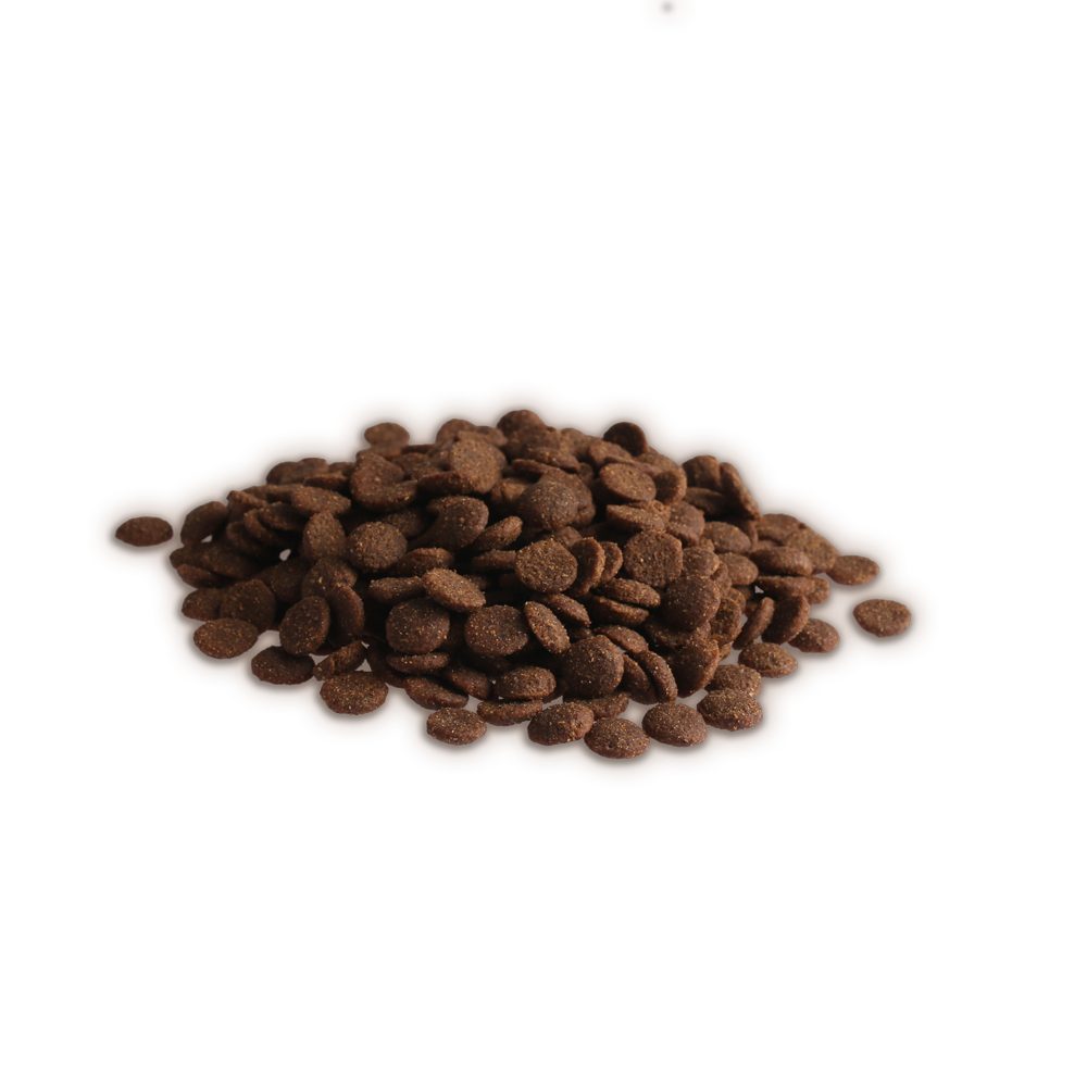 Prominent CAT ADULT SALMON 1,5 kg