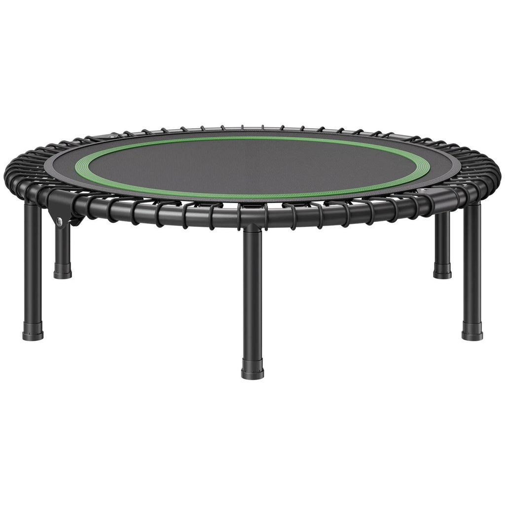 Mini batutas treniruotėms HomeFit Pro 1027 mm (iki 150 kg)
