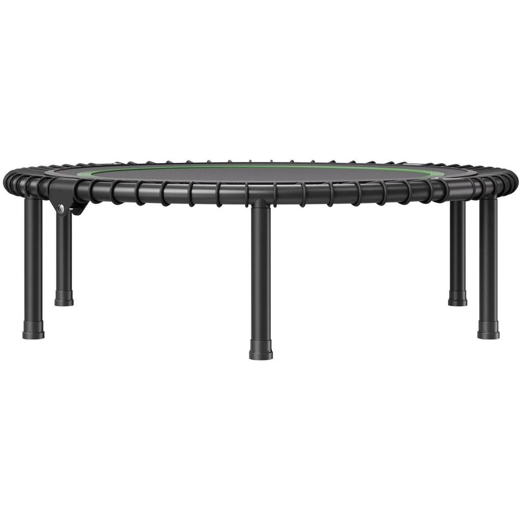 Mini batutas treniruotėms HomeFit Pro 1027 mm (iki 150 kg)