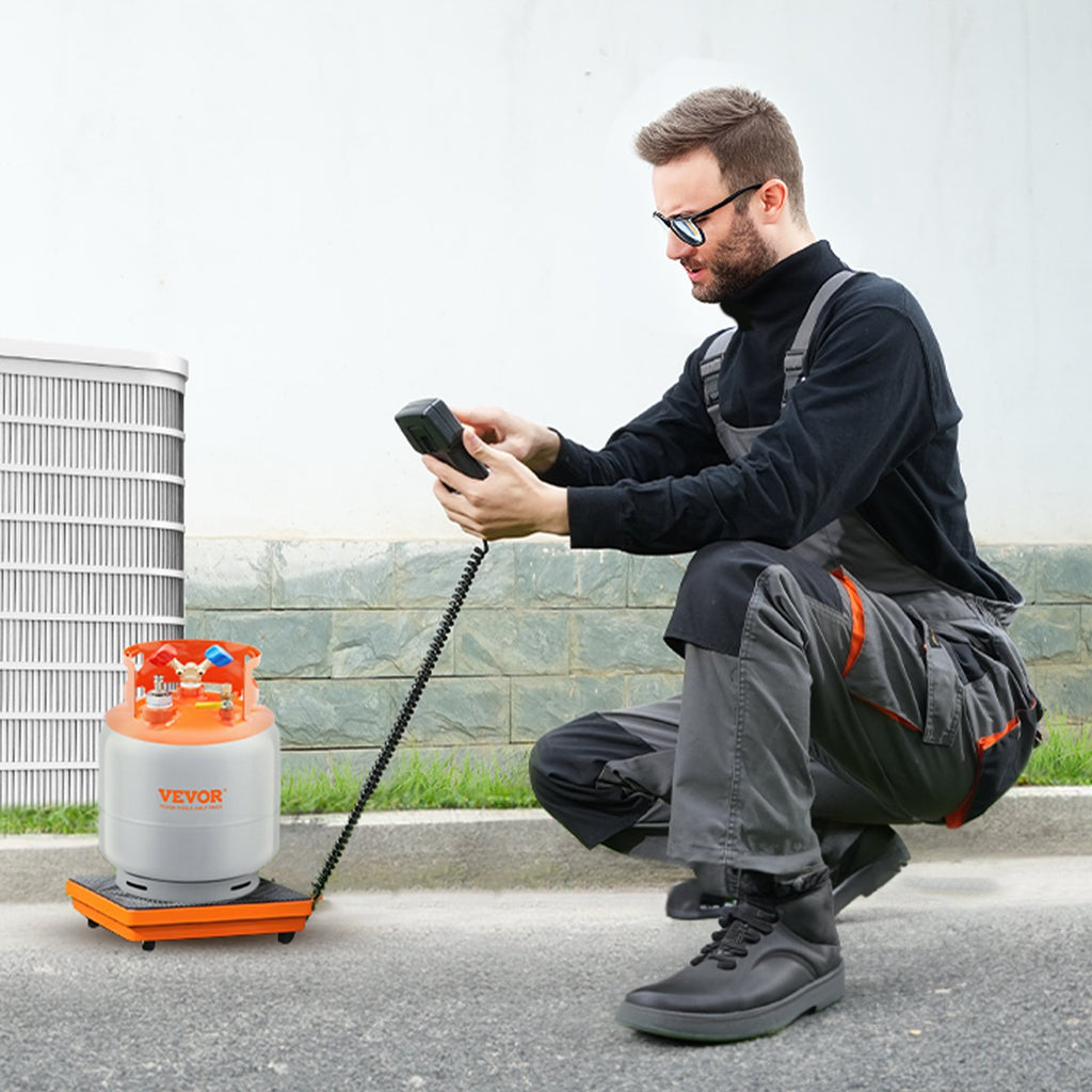 Skaitmeninės šaltnešio svarstyklės VEVOR LX-36575D, 99,8 kg