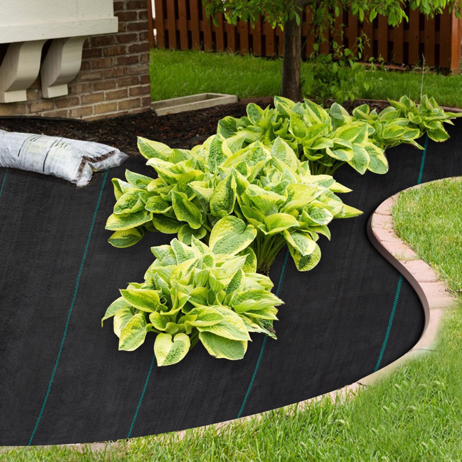 Geotekstilė nuo piktžolių VEVOR VV-WB-5250, 1,5 x 76,2 m