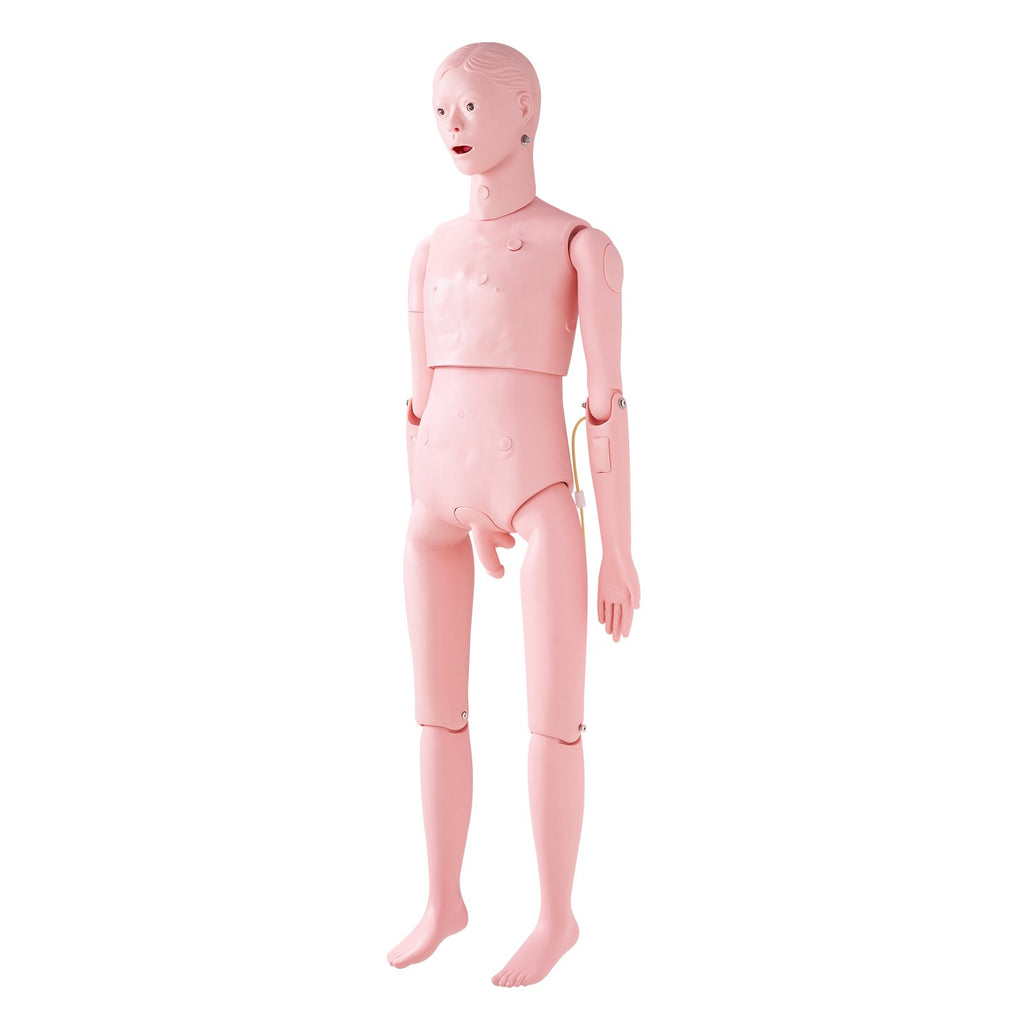 Slaugos mokymo manekenas VEVOR LD-135, natūralaus dydžio vyro modelis