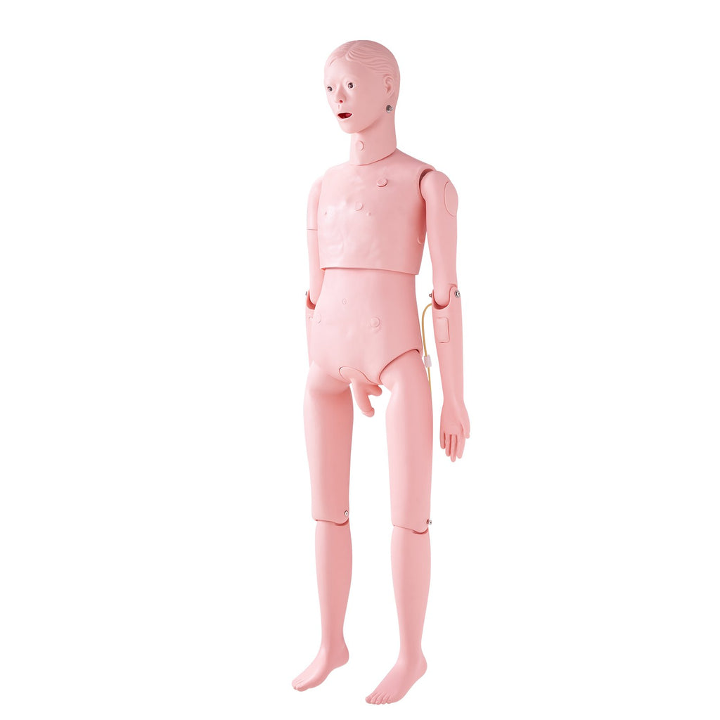 Slaugos mokymo manekenas VEVOR LD-135, natūralaus dydžio vyro modelis