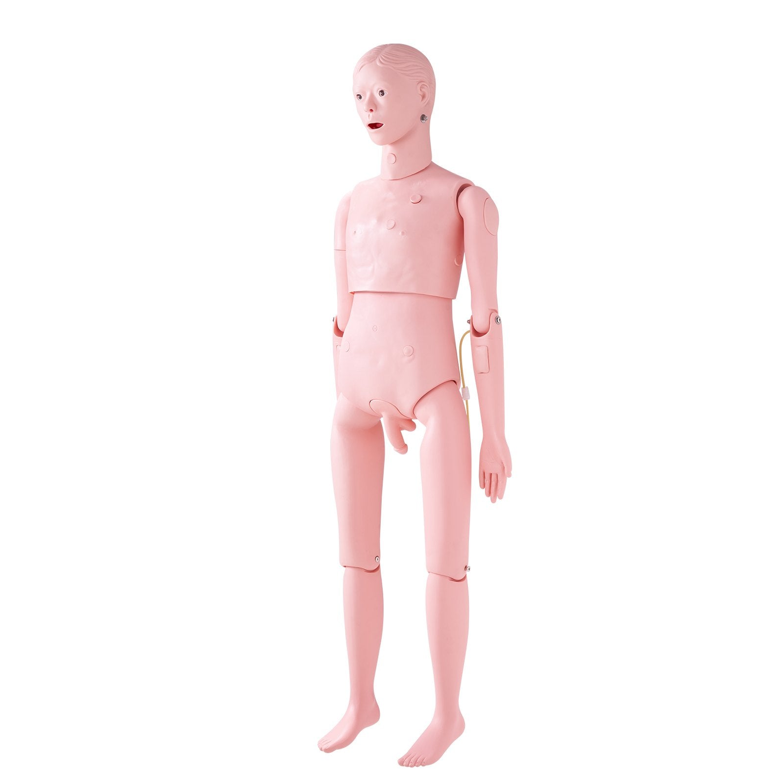 Slaugos mokymo manekenas VEVOR LD-135, natūralaus dydžio vyro modelis