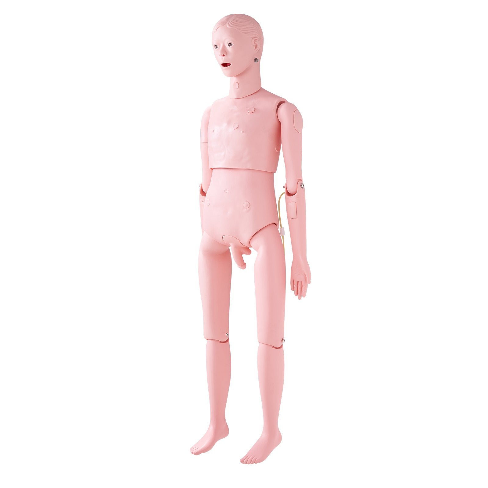 Slaugos mokymo manekenas VEVOR LD-135, natūralaus dydžio vyro modelis