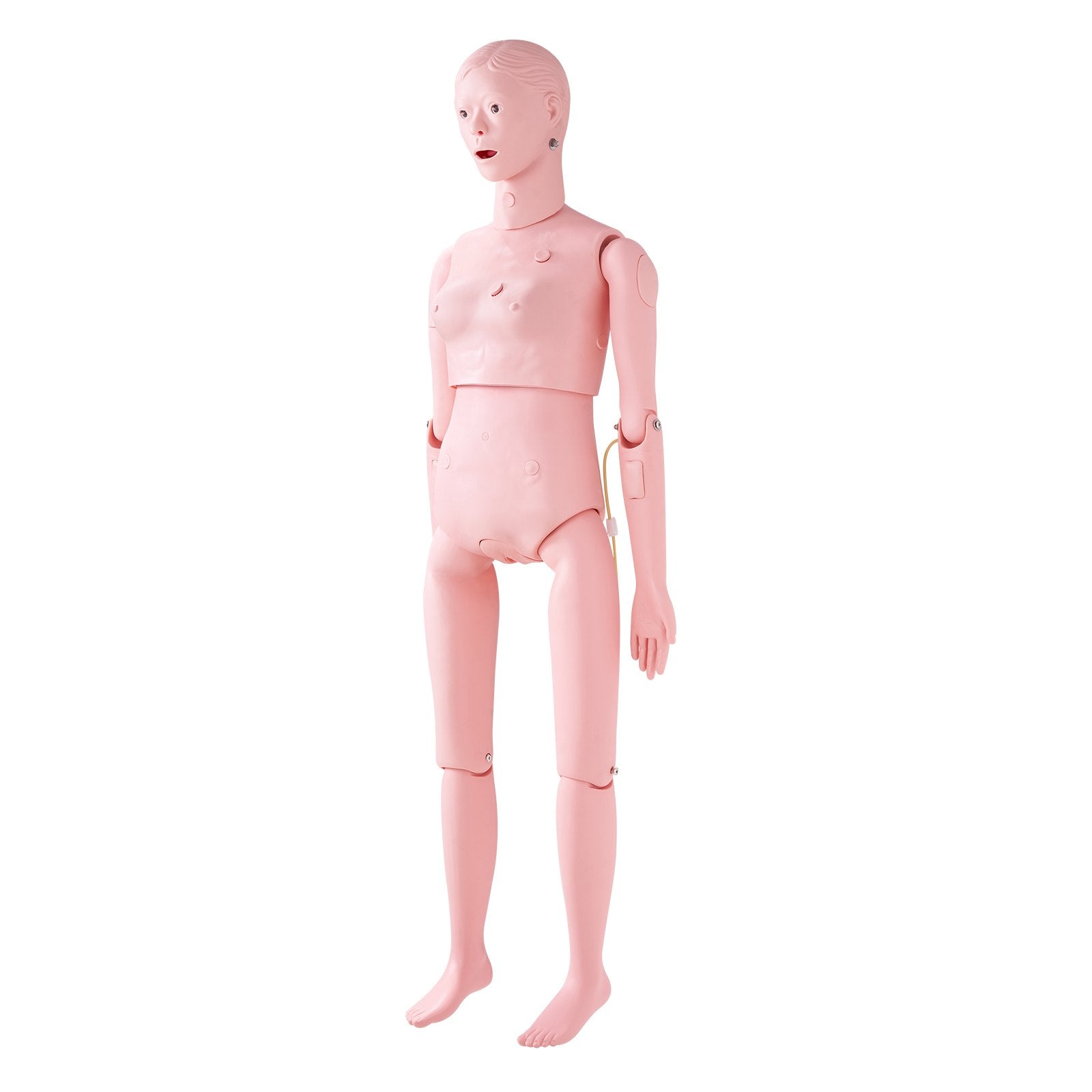 Slaugos mokymo manekenas VEVOR LD-134, moters natūralaus dydžio modelis