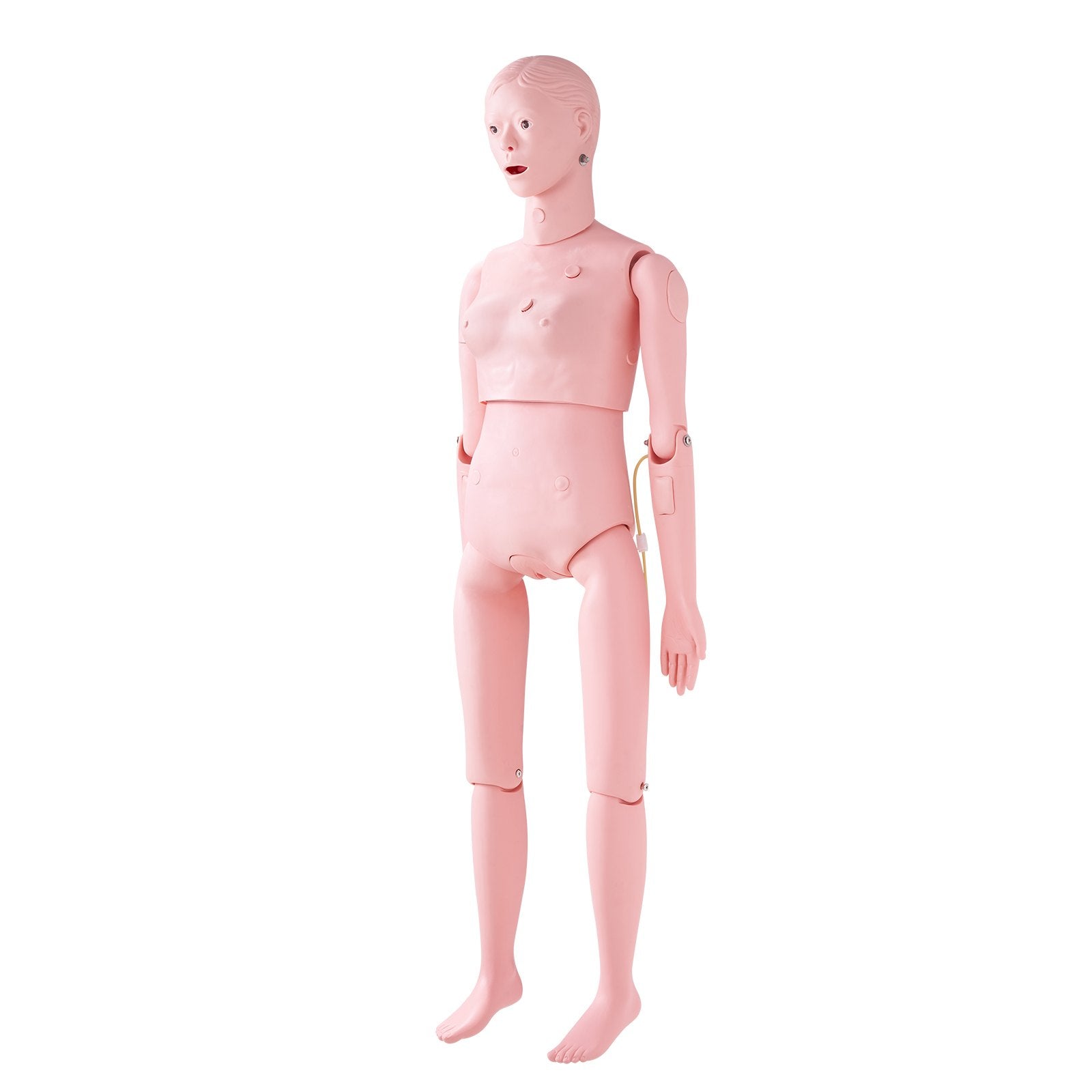 Slaugos mokymo manekenas VEVOR LD-134, moters natūralaus dydžio modelis