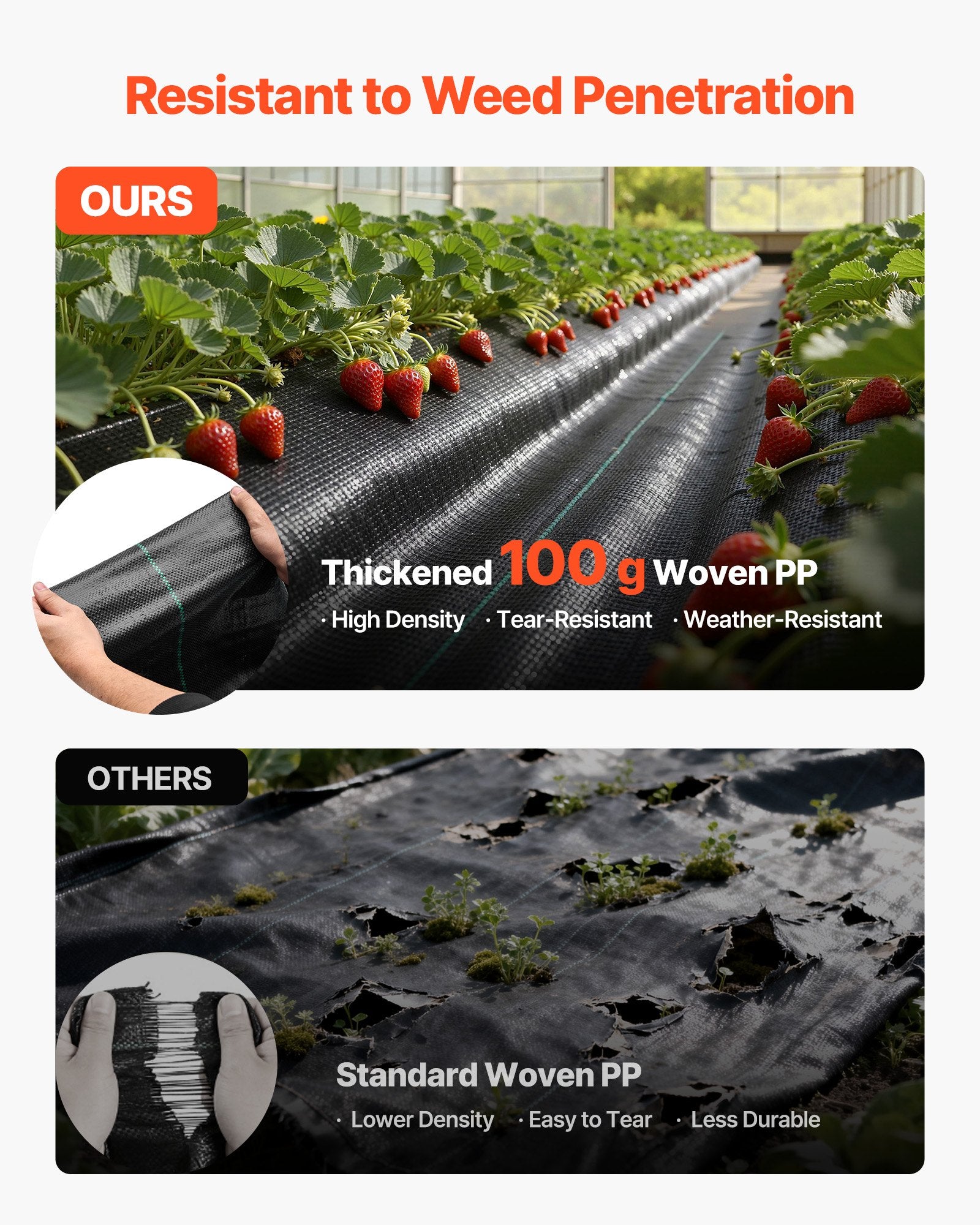 Agrotekstilė nuo piktžolių VEVOR 2*50M100, 2 x 50 m, 100 g/m²