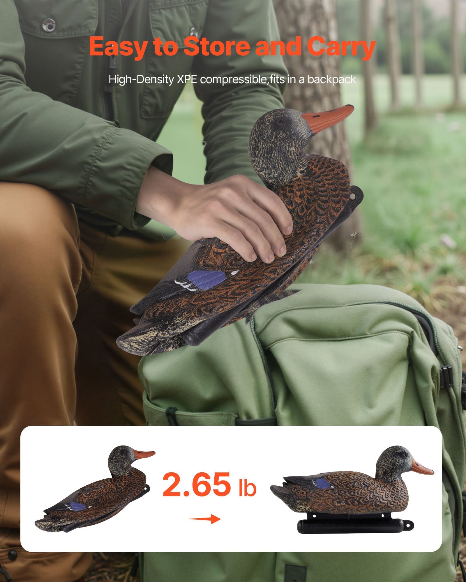 Anties muliažai VEVOR XJYYE-202504, 6 vnt. rinkinys