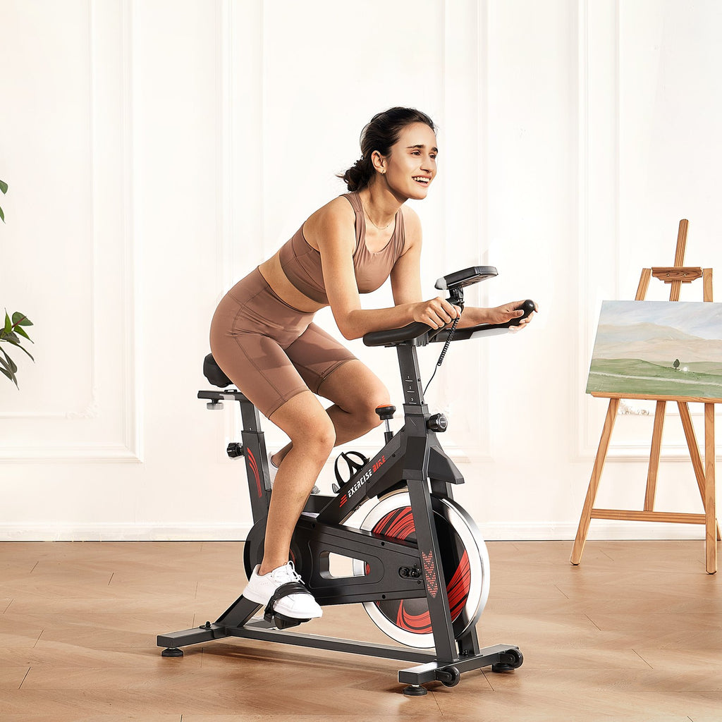 Dviratis treniruoklis VEVOR S310, 16 kg smagratis