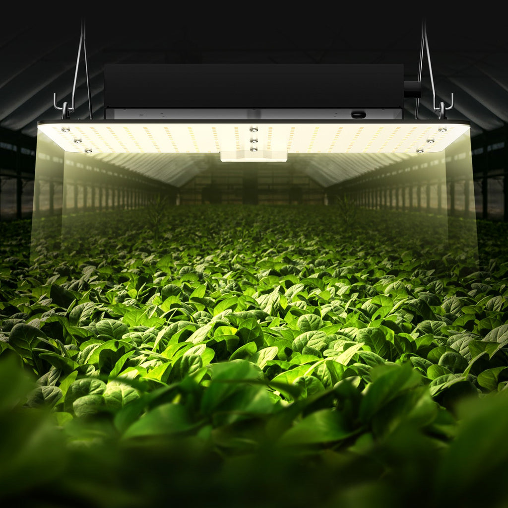 LED augalų auginimo lempa VEVOR 150W PGL-C1, 150W pilno spektro