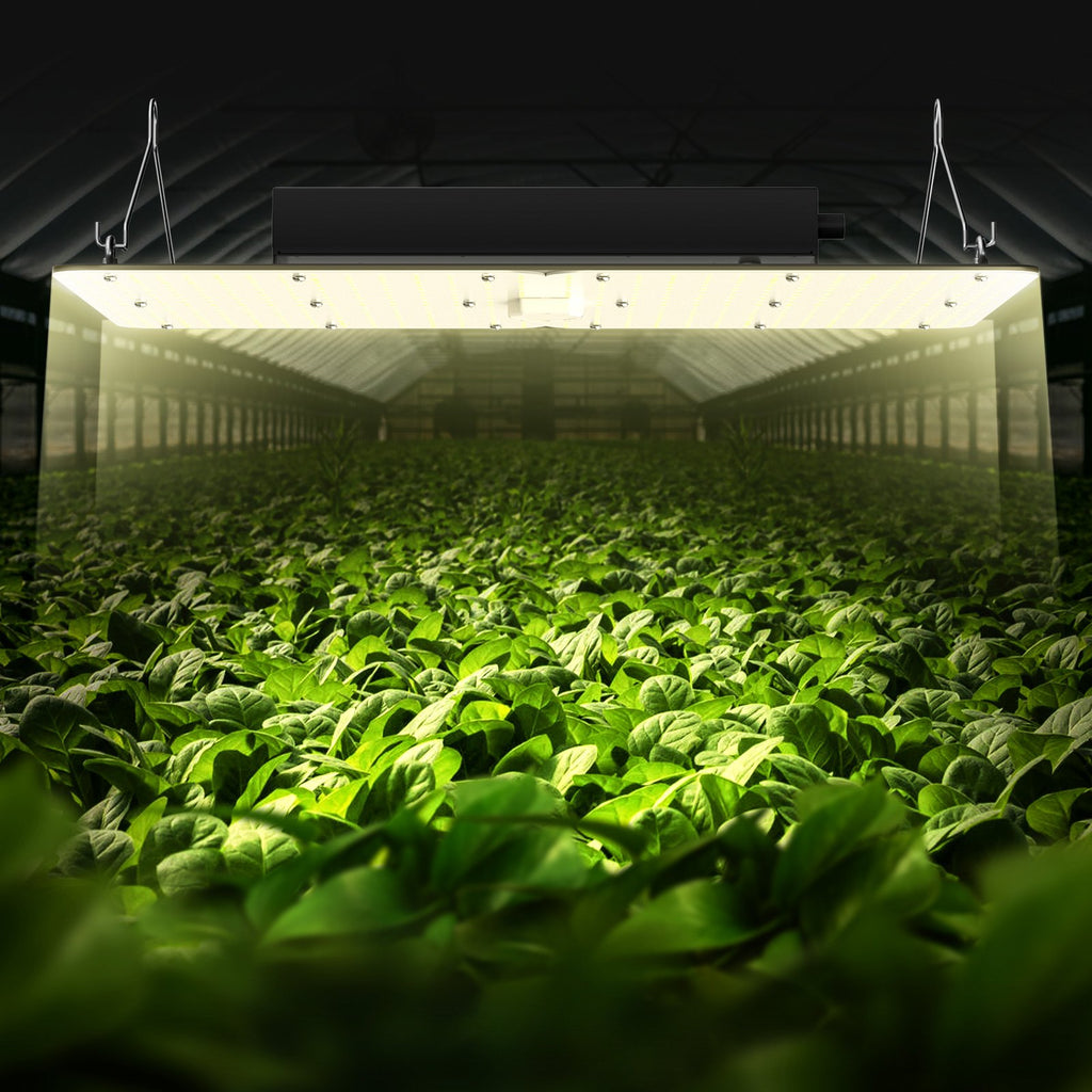 LED augalų auginimo lempa VEVOR 300W PGL-G1, pilno spektro