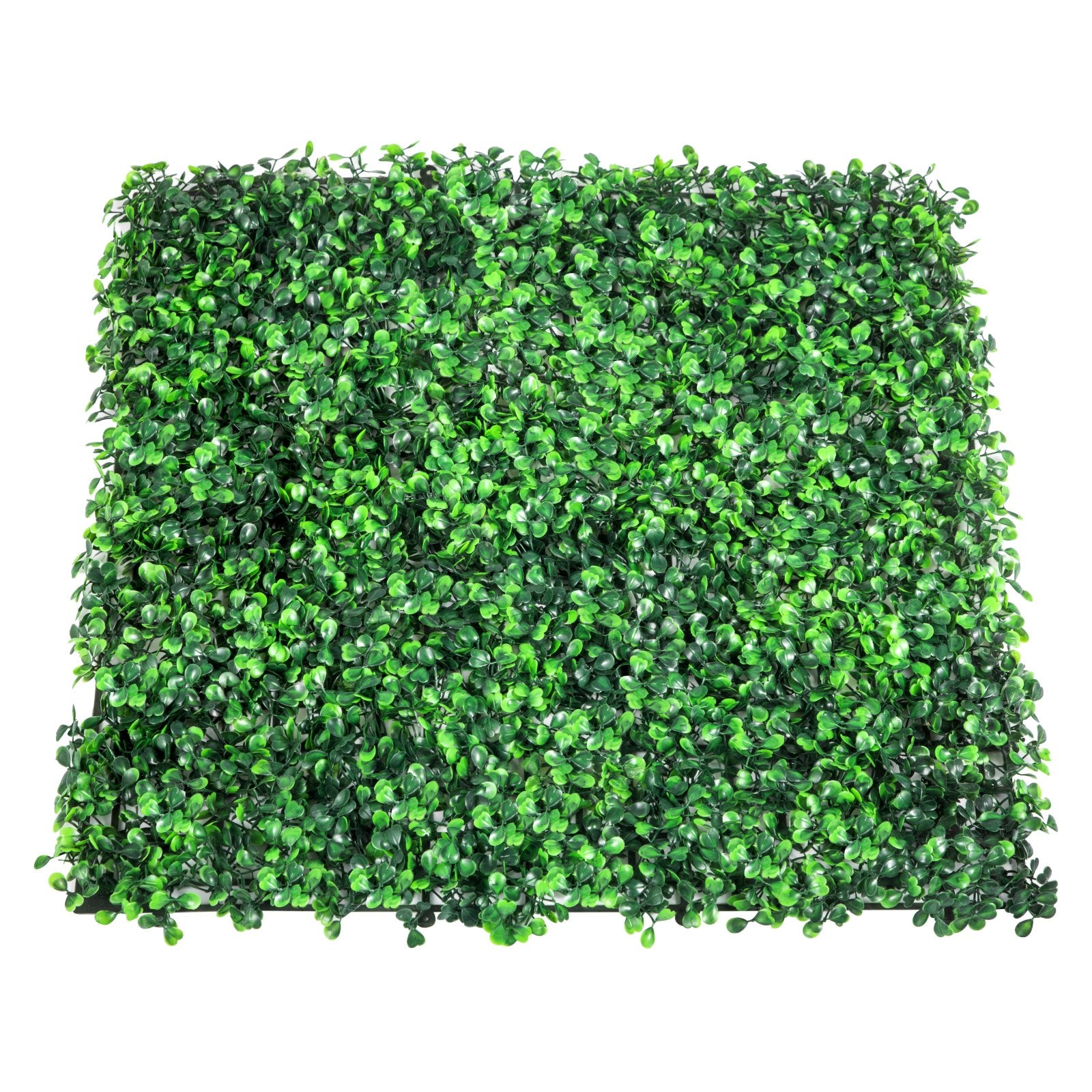 Dirbtinės gyvatvorės panelės VEVOR Boxwood, 12 vnt. rinkinys
