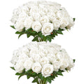 Dirbtinės rožės VEVOR JNR-WHITE-060, 60 vnt.