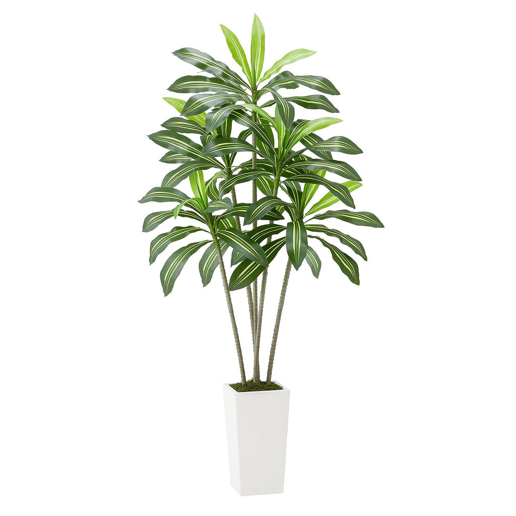 Dirbtinis dracenos medis VEVOR FH-BXT80, 182,9 cm aukščio