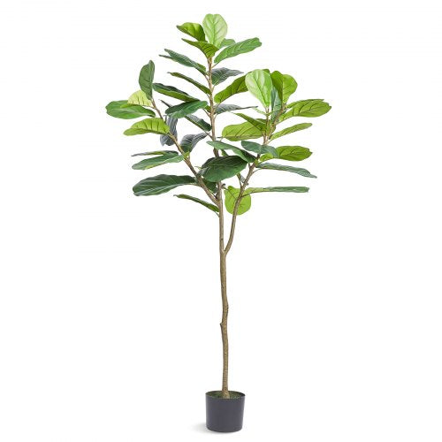 Dirbtinis lyralapis fikusas VEVOR FH-QYR180, 185 cm