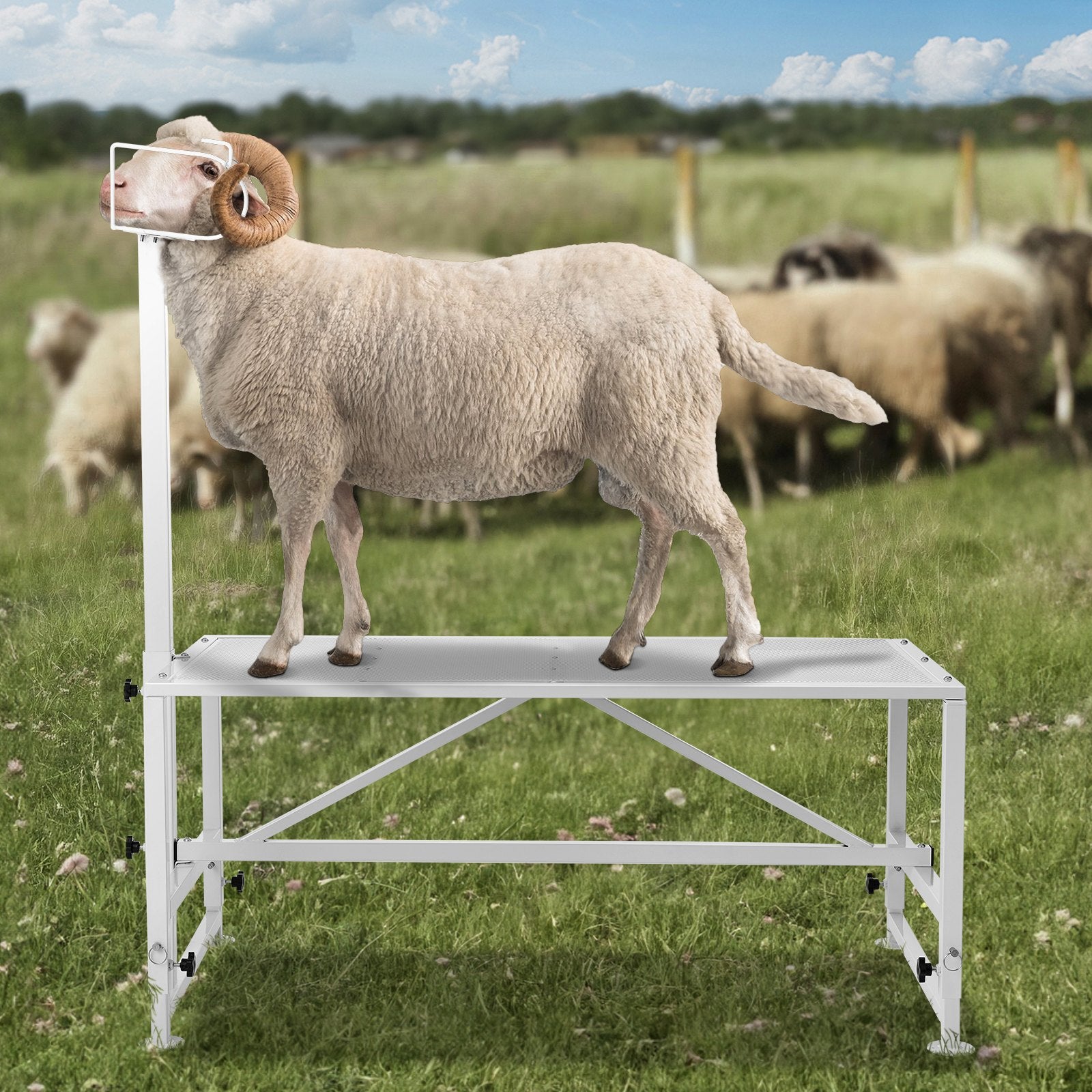 Ožkų ir avių kirpimo stovas VEVOR SCJ002-W, 227 kg keliamoji galia