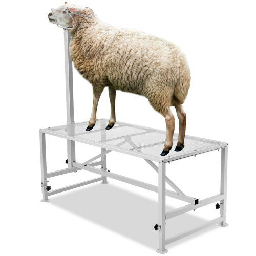 Ožkų ir avių priežiūros stovas VEVOR SCJ003-W, 226 kg keliamoji galia