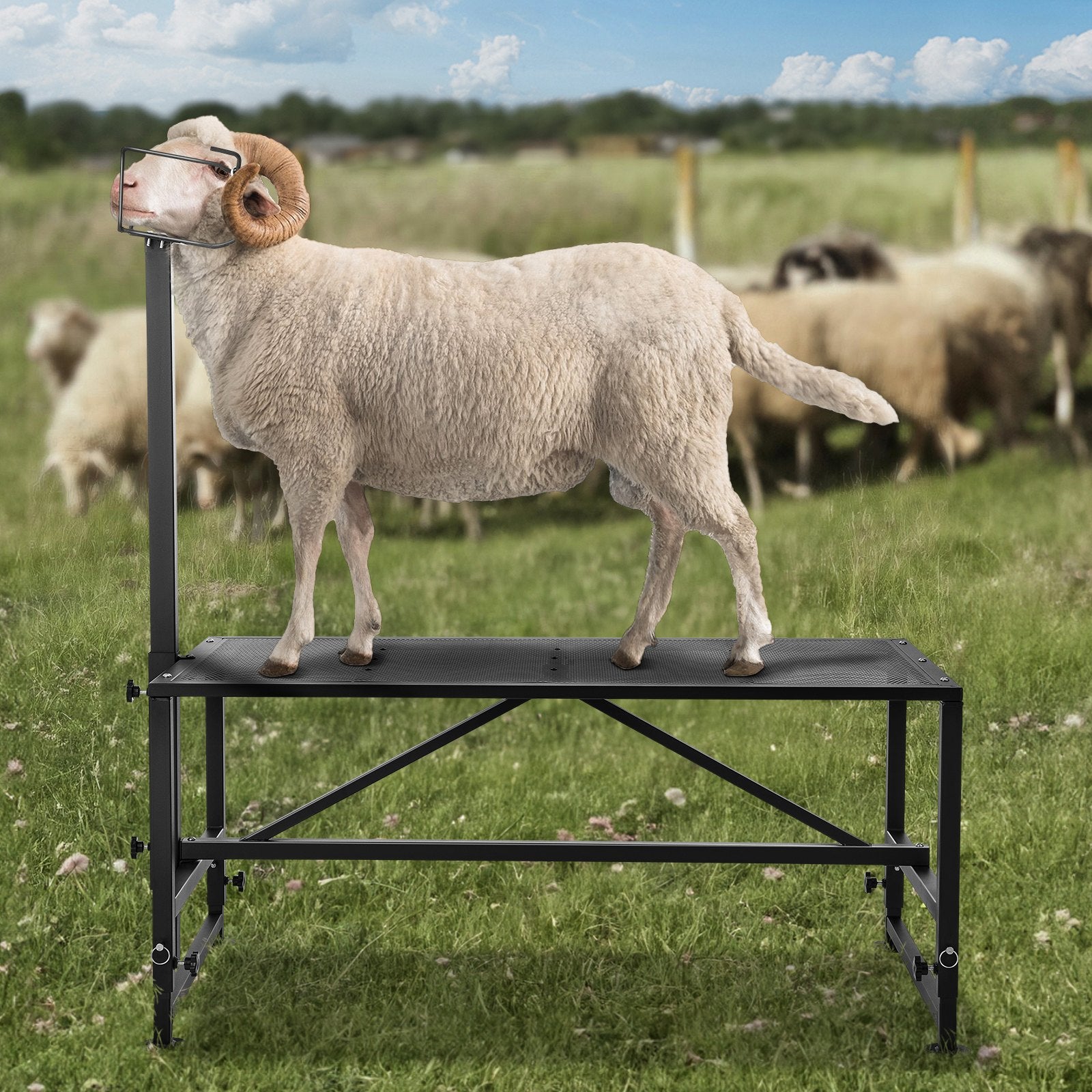Ožkų ir avių priežiūros stalas VEVOR SCJ003-B, 226 kg keliamoji galia