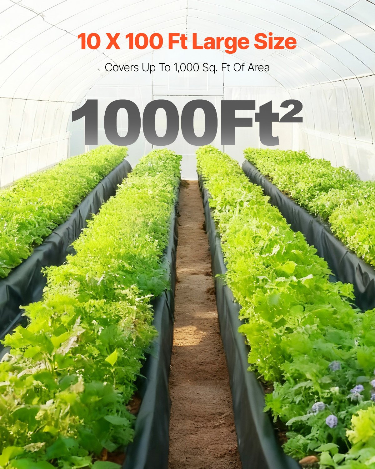 Polietileno plėvelė VEVOR YF10FT100FTB6MIL, 3,05 x 30,48 m