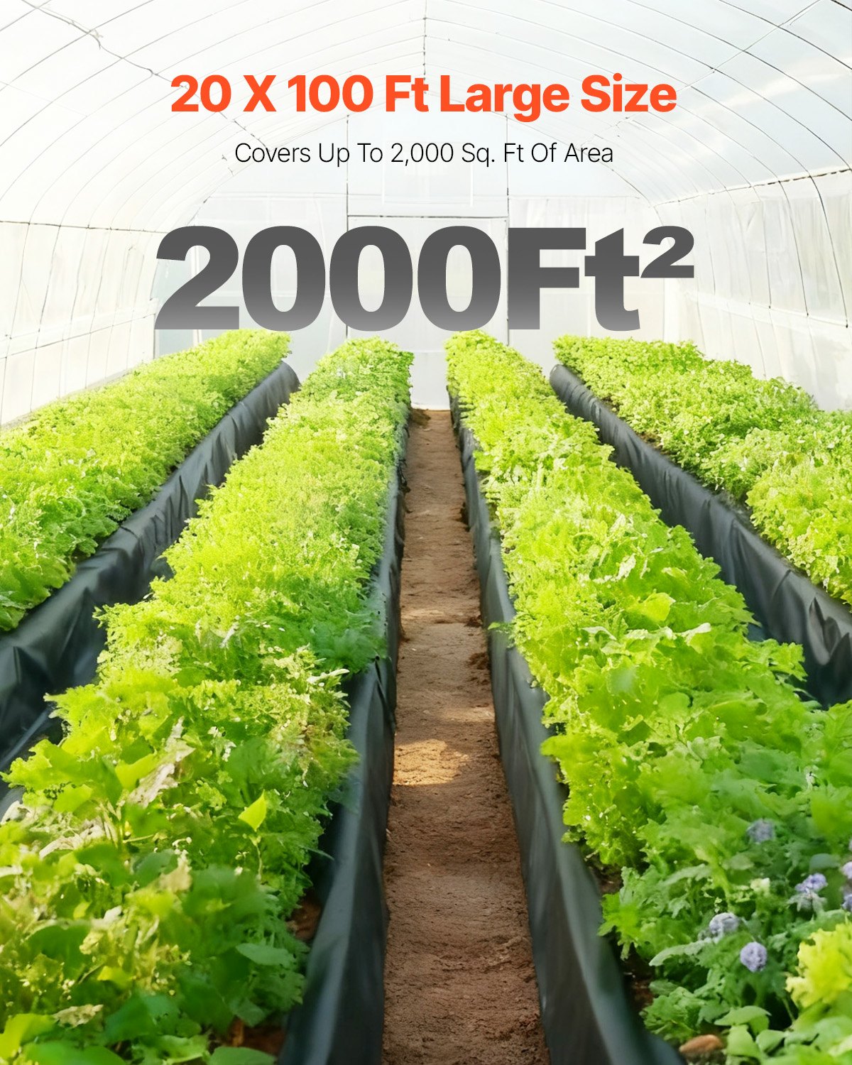 Polietileno plėvelė VEVOR YF20FT100FTB, 6,1 x 30,5 m, 0,25 mm