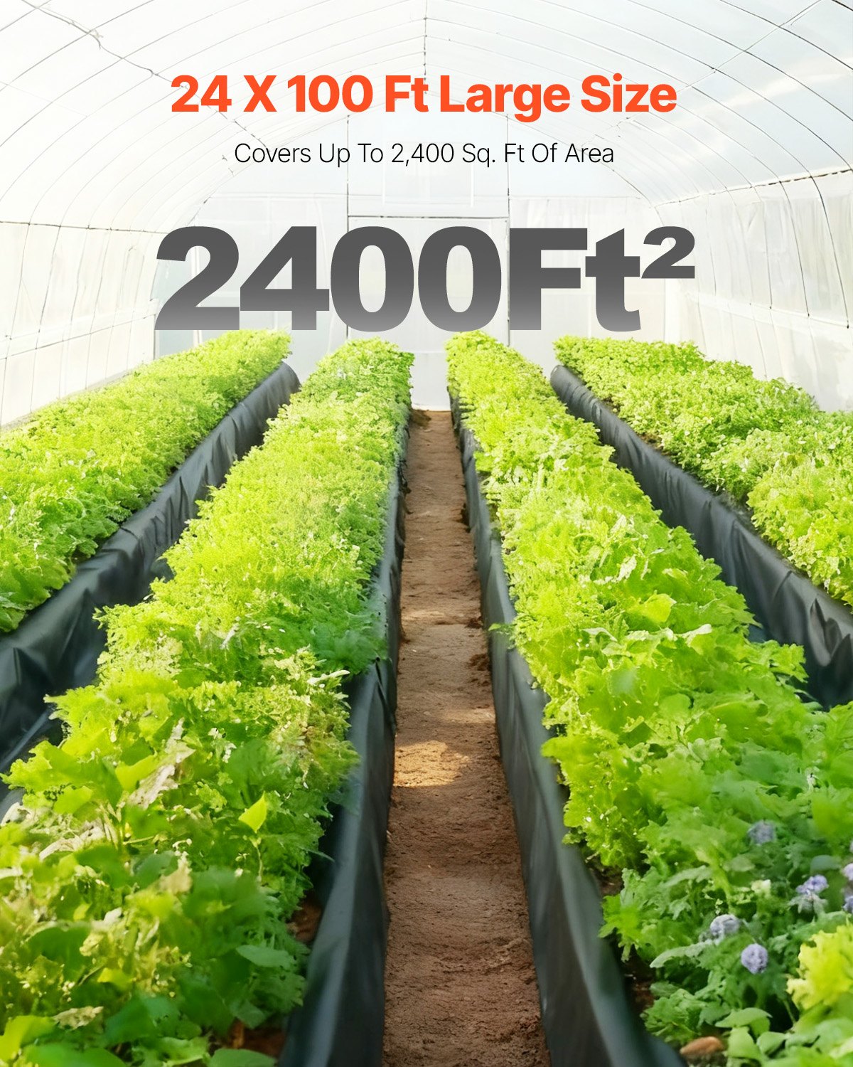 Polietileno plėvelė VEVOR YF24FT100FTB, 7,31 x 30,48 m, 0,15 mm