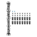 Paskirstymo veleno komplektas VEVOR LS Truck Cam Kit, skirtas GM Gen3/4 varikliams