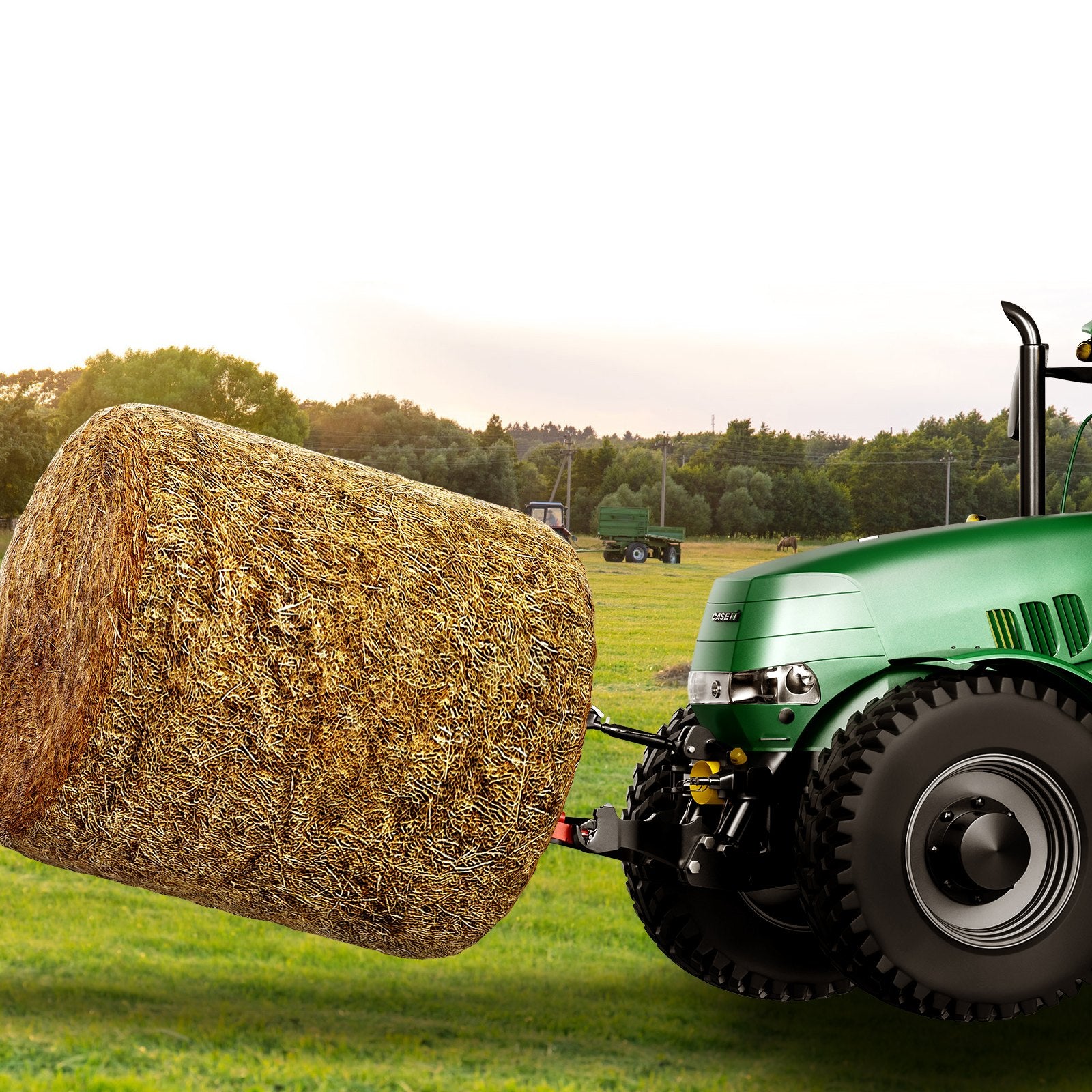 Šieno šakės VEVOR WBS-013, 725 kg keliamoji galia