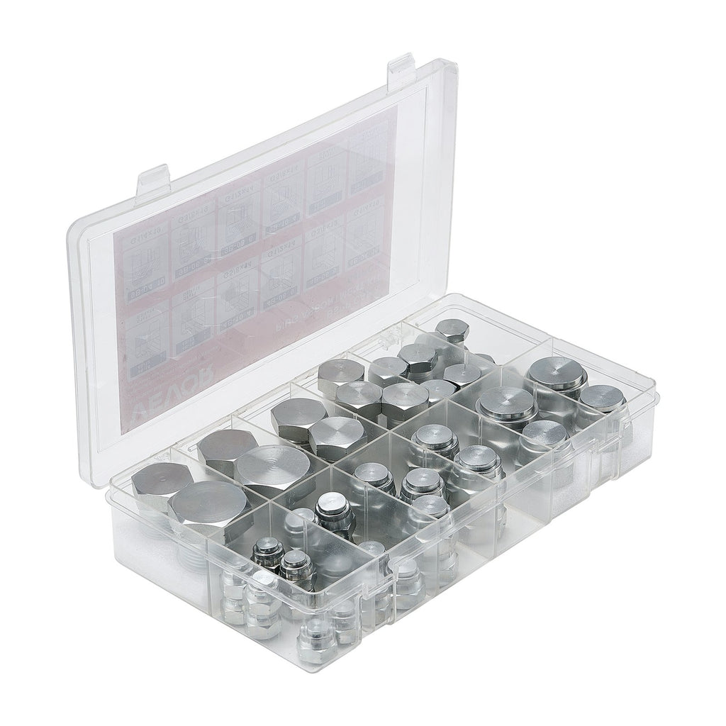 Hidraulinių jungčių aklės ir kamščiai VEVOR BSPP 64PCS-SS, 64 vnt. rinkinys