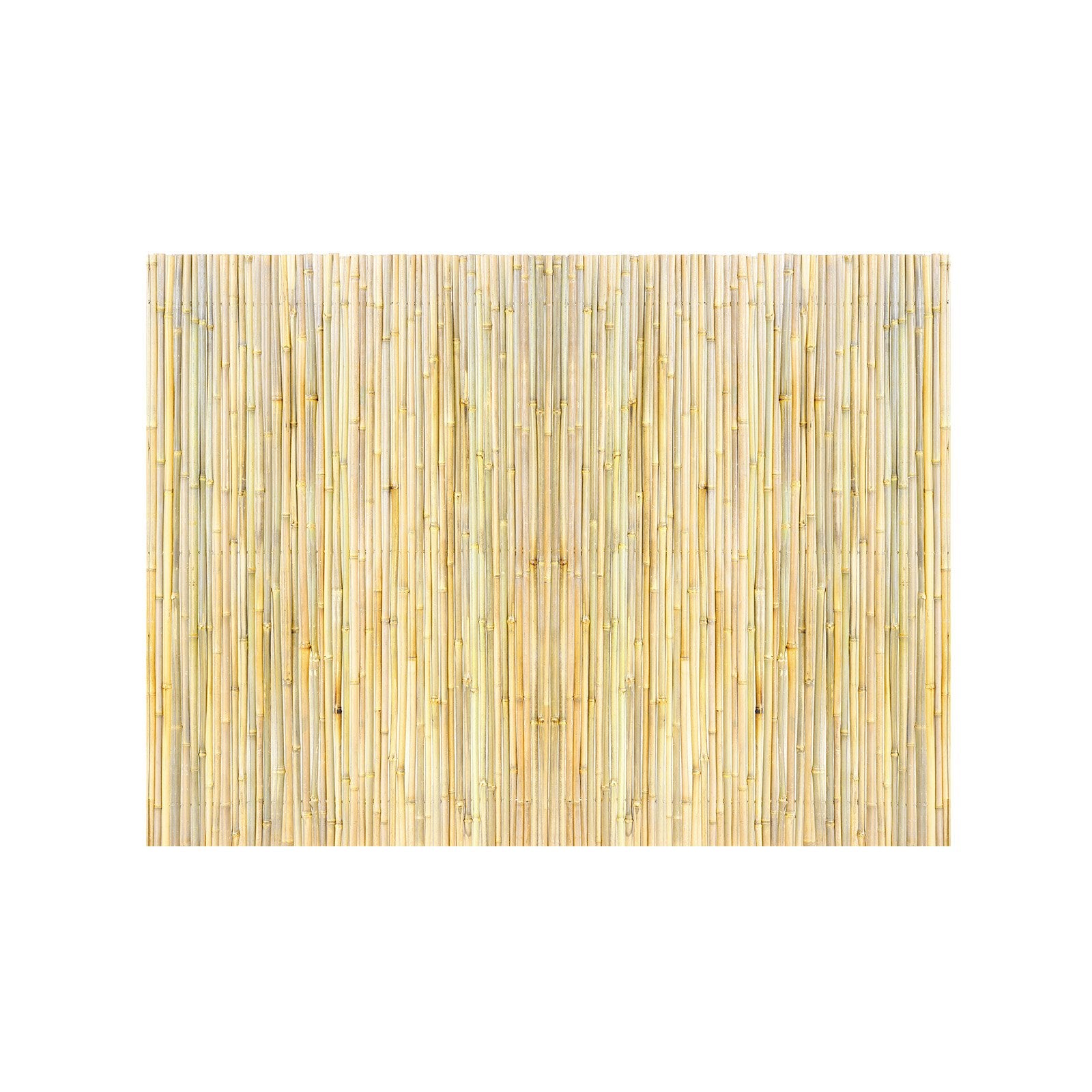 Bambukinė tvora VEVOR JA-A127A, 1,2 x 1,8 m