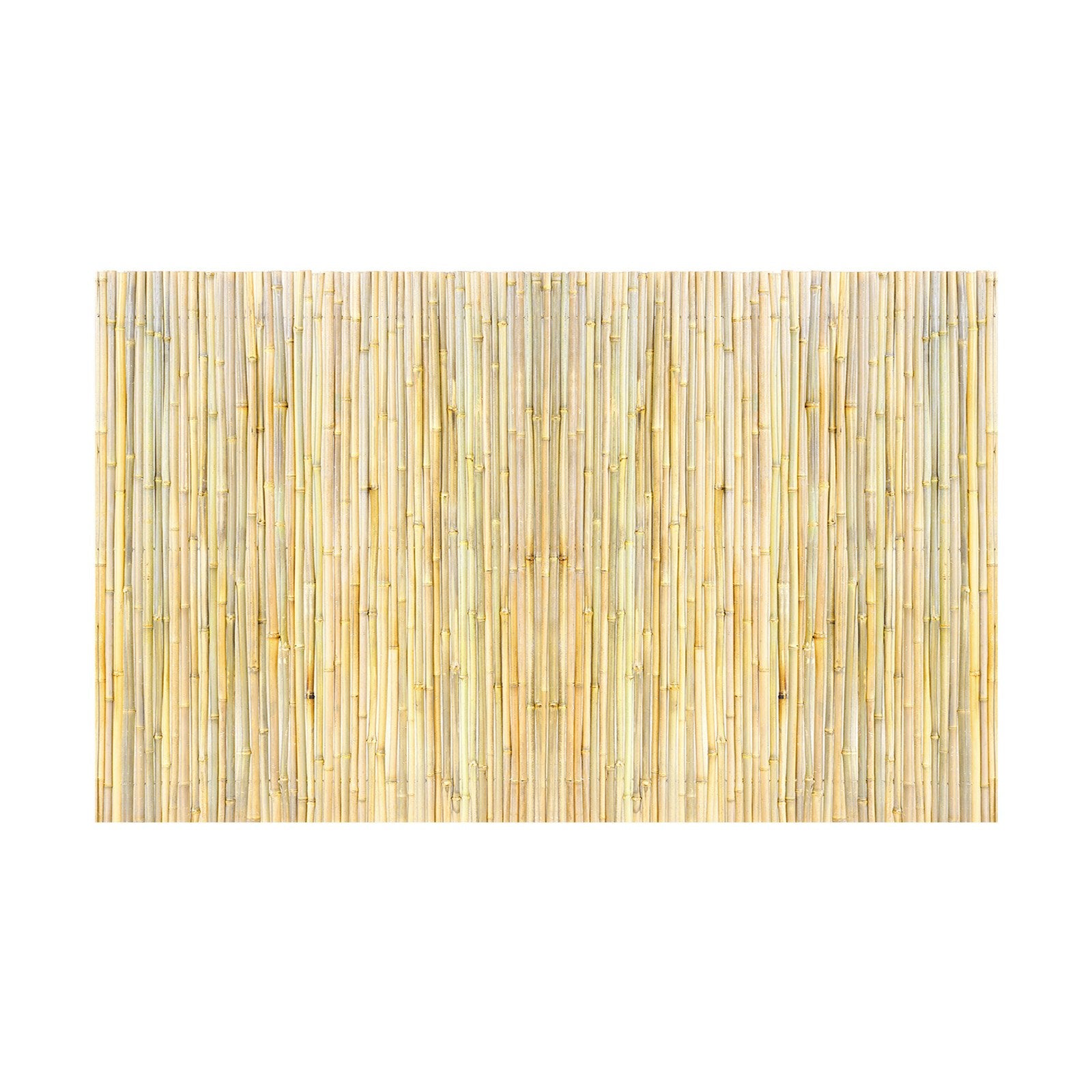Bambukinė tvora VEVOR JA-A127B, 1,2 x 2,4 m