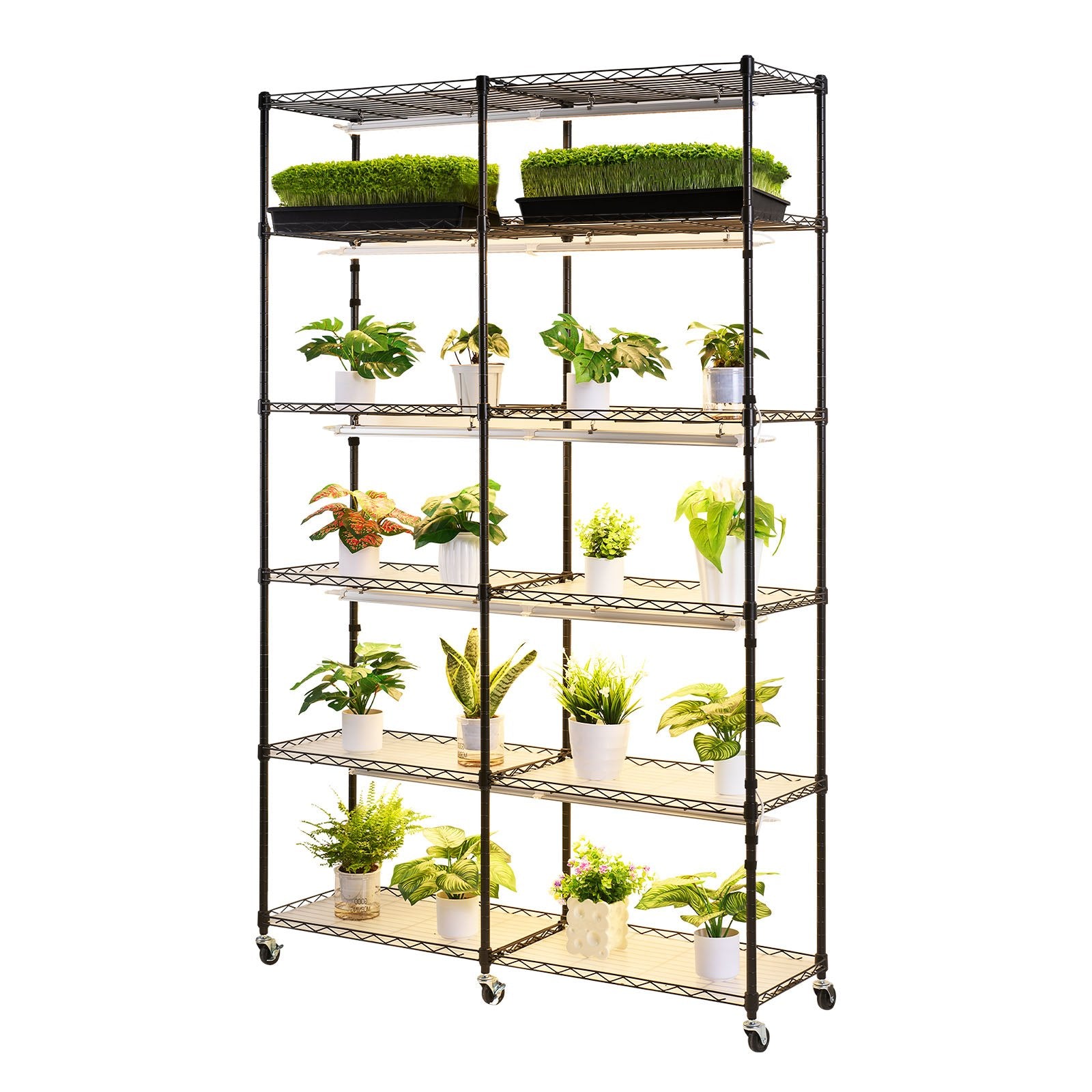 Lentyna augalams su apšvietimu VEVOR 6C180120-2020T06P10-EU, 200W