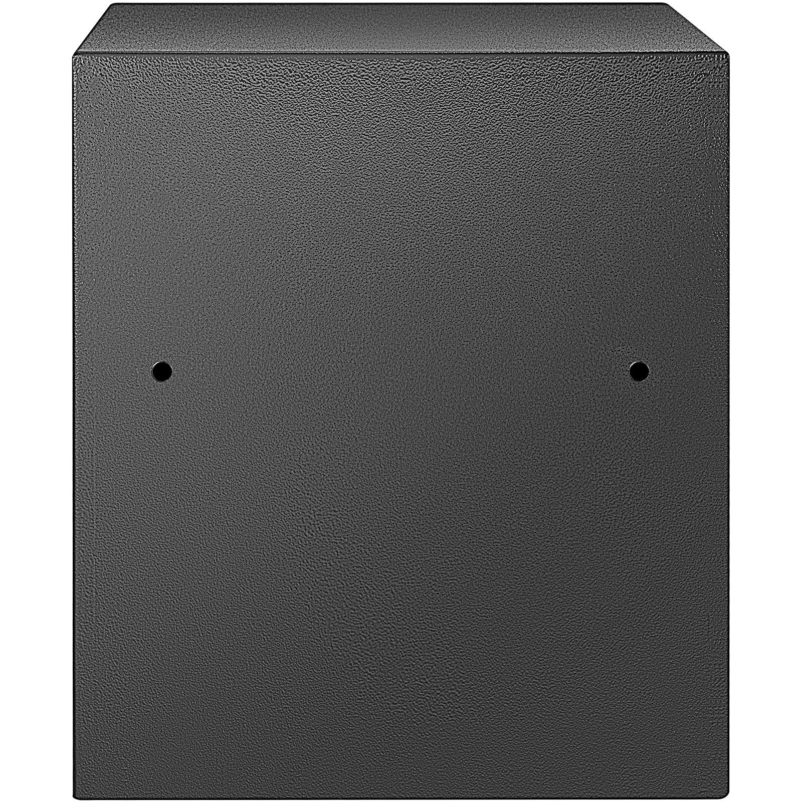 Seifas VEVOR 48L, su biometrine spyna