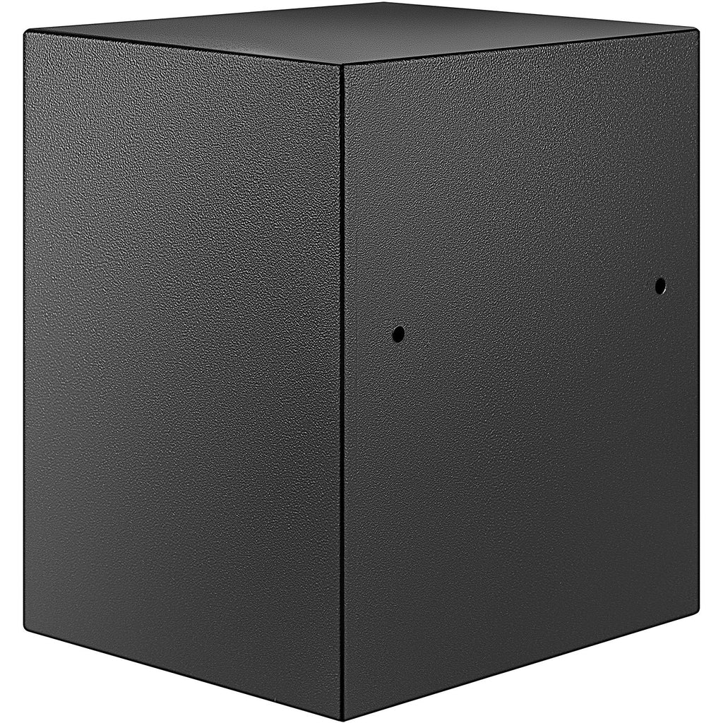 Seifas VEVOR 48L, su biometrine spyna