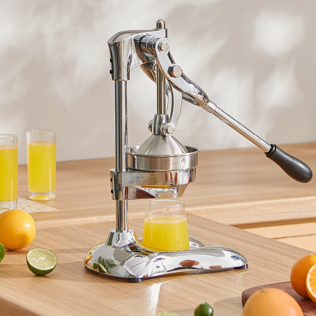 Rankinė citrusinių vaisių sultyspaudė VEVOR YCJ-01, nerūdijančio plieno